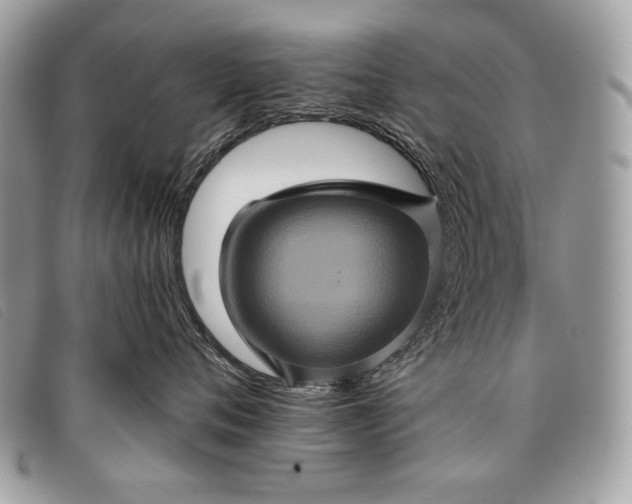 X0000098010720200804111233