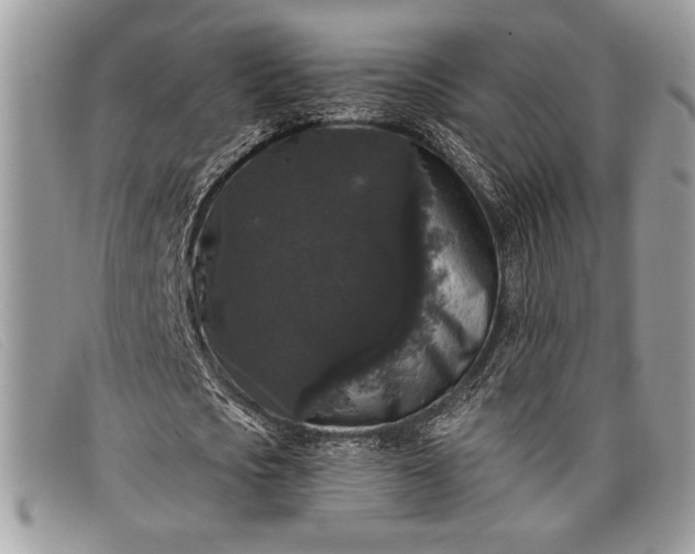 X0000098010721200804111232