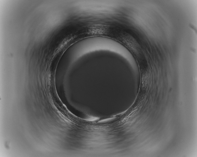 X0000098010722200804111232