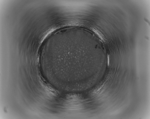 X0000098010723200804111232