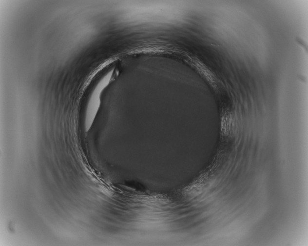 X0000098010724200804111232