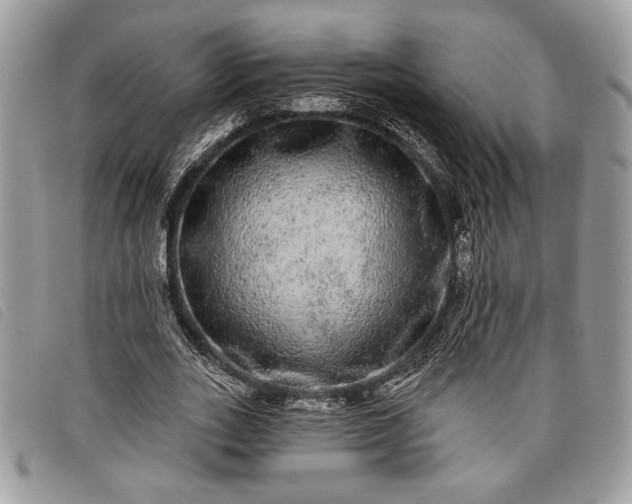 X0000098010727200804111232