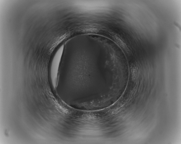 X0000098010729200804111232