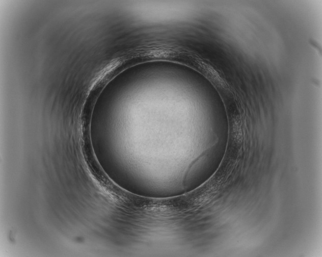 X0000098010730200804111232