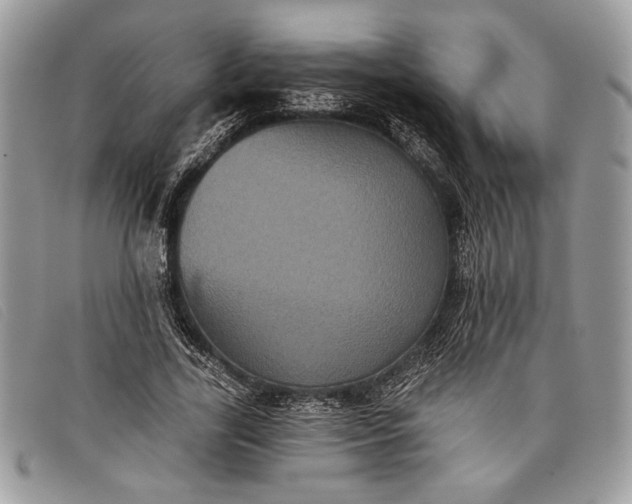 X0000098010731200804111232