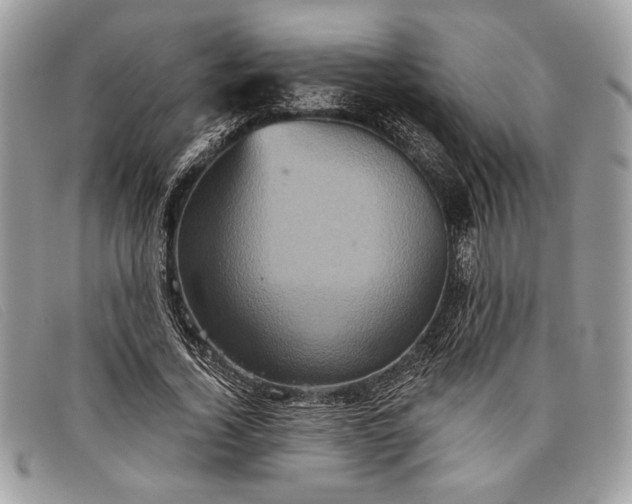 X0000098010732200804111232