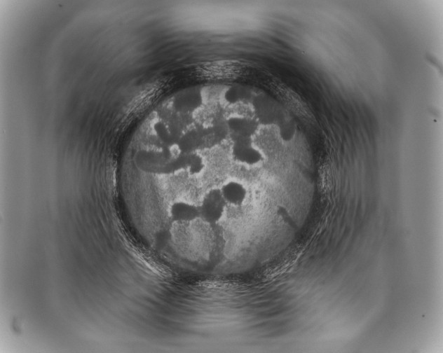 X0000098010733200804111232