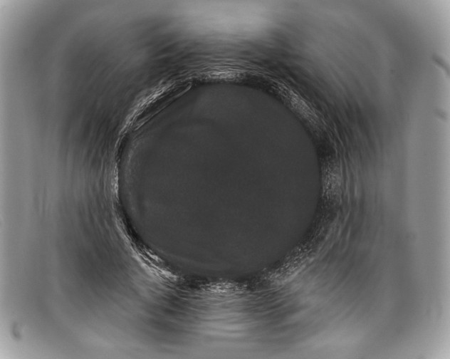 X0000098010736200804111232