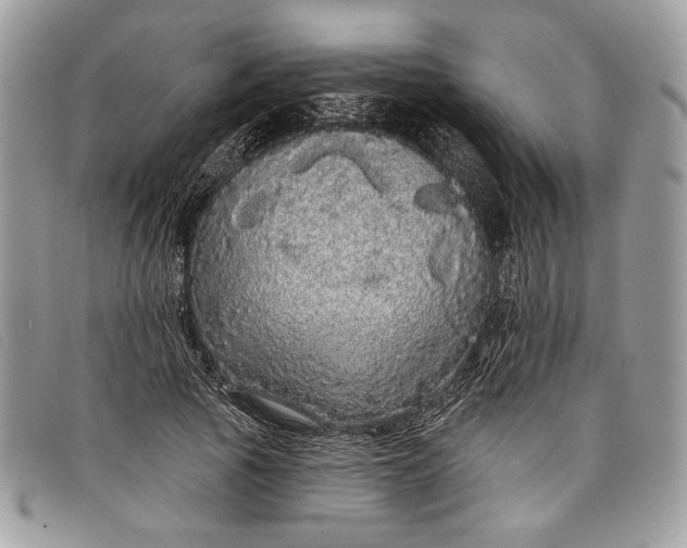 X0000098010737200804111232