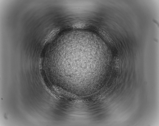 X0000098010738200804111232