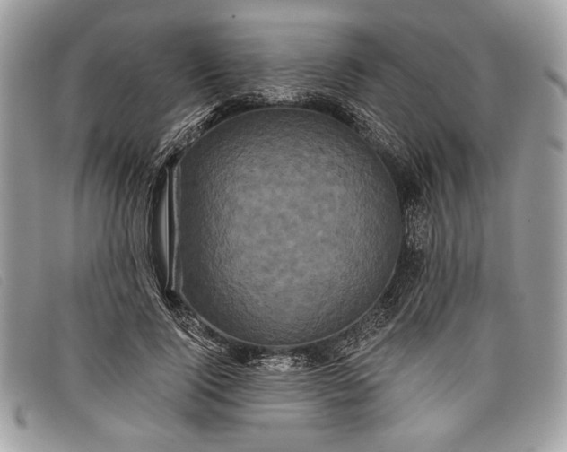 X0000098010740200804111232