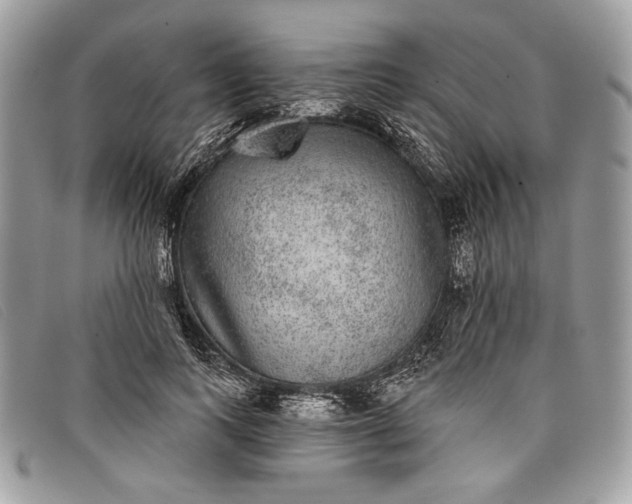 X0000098010743200804111232