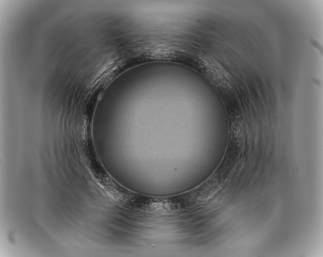 X0000098010744200804111232