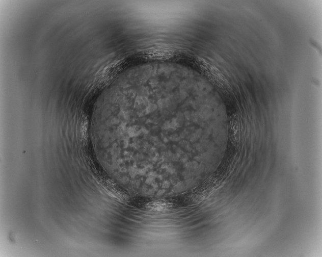 X0000098010745200804111232