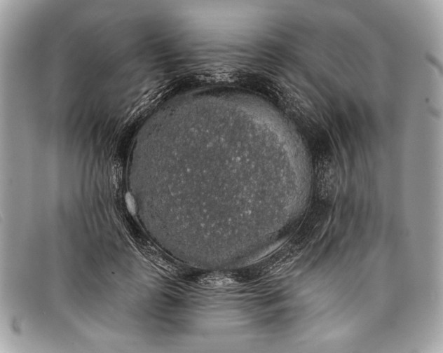 X0000098010747200804111232