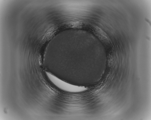 X0000098010748200804111232