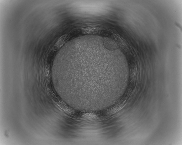 X0000098010749200804111232