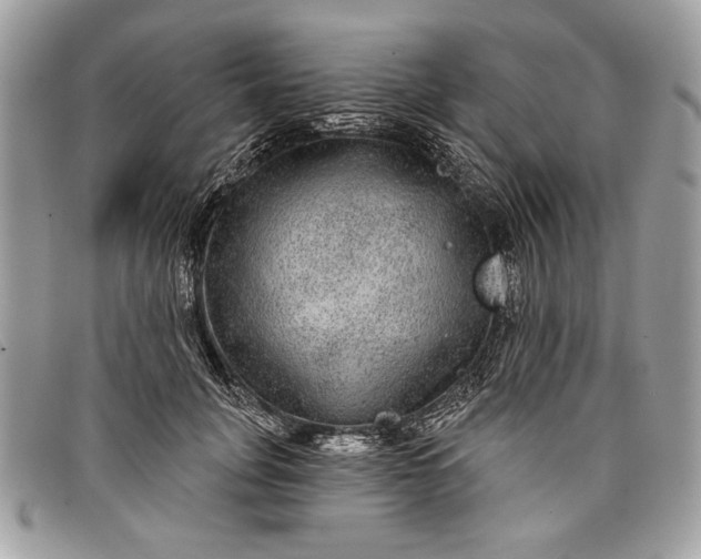 X0000098010751200804111232