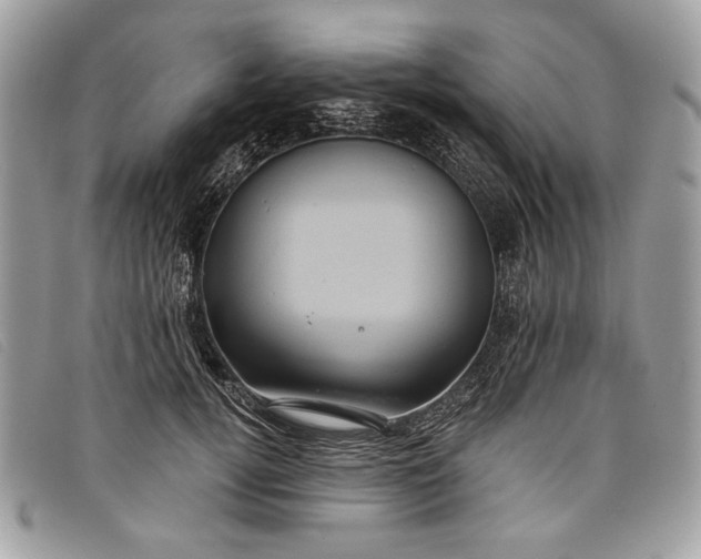 X0000098010752200804111232