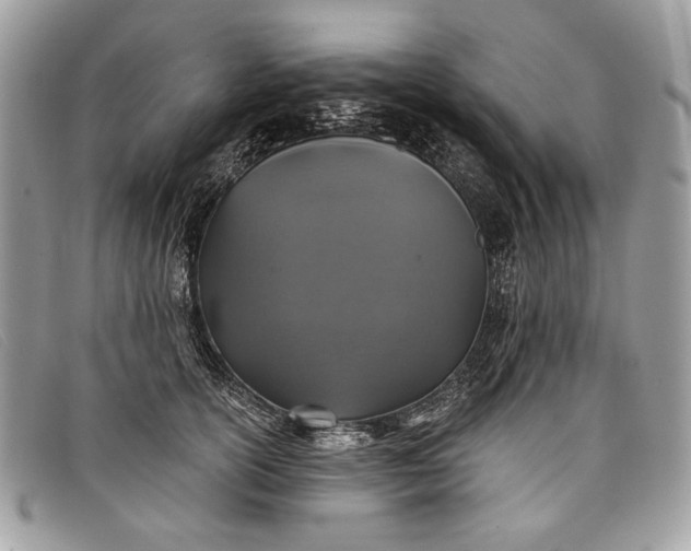 X0000098010754200804111232