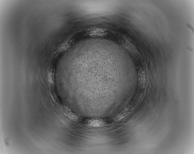 X0000098010755200804111232