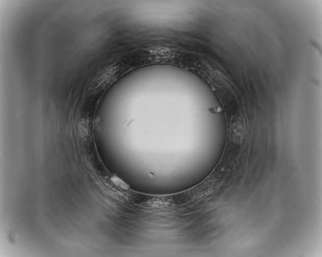 X0000098010756200804111232