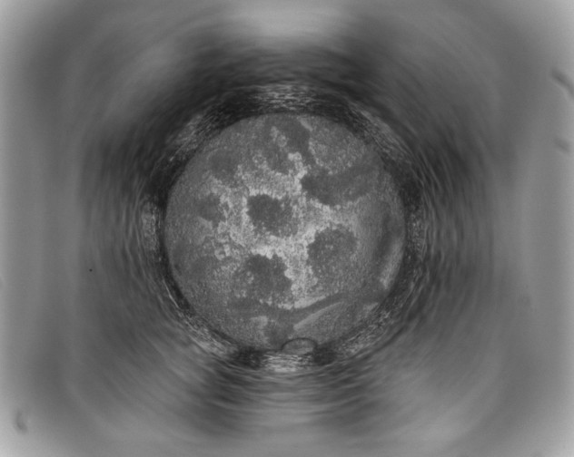 X0000098010757200804111232