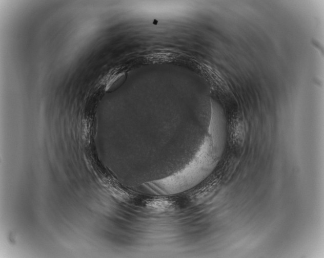 X0000098010759200804111232