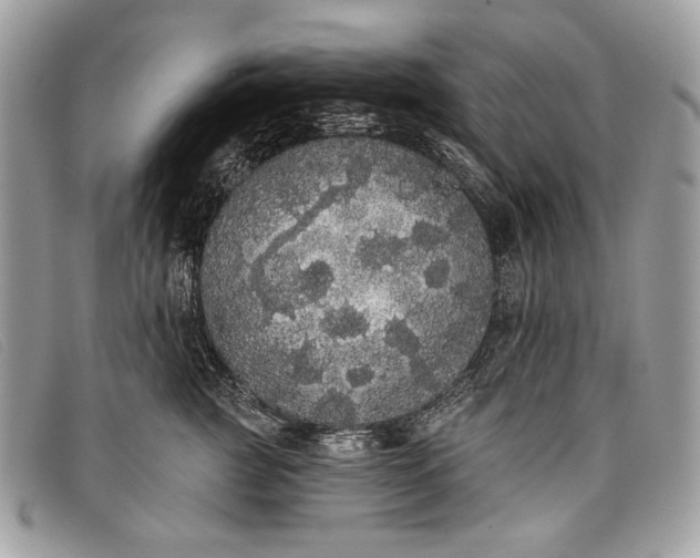 X0000098010761200804111232