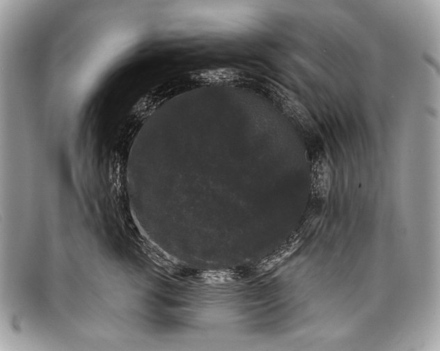 X0000098010762200804111232