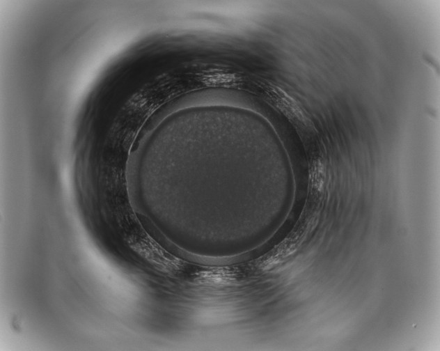 X0000098010763200804111232