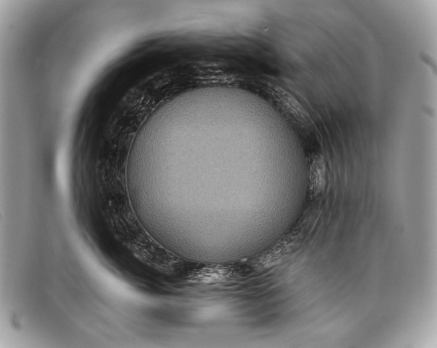 X0000098010764200804111232