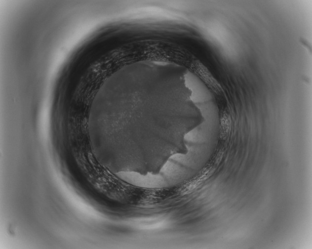 X0000098010765200804111232