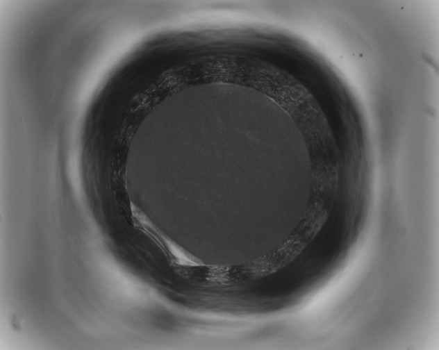 X0000098010766200804111232