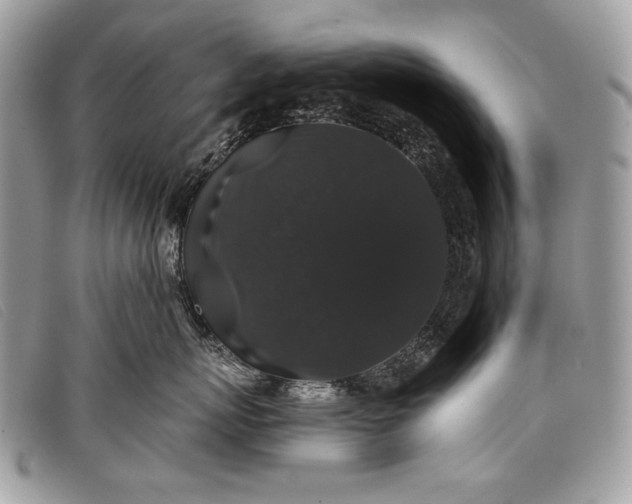 X0000098010767200804111233