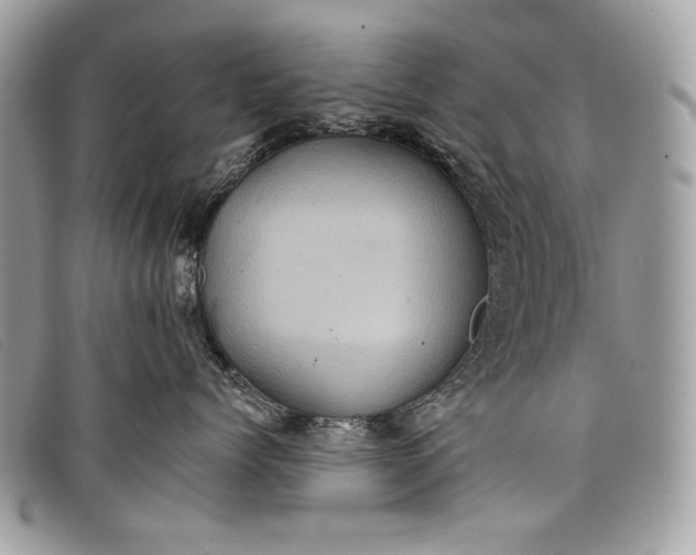 X0000098010768200804111233