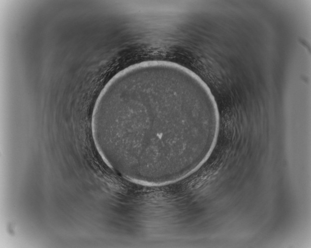 X0000098010769200804111232