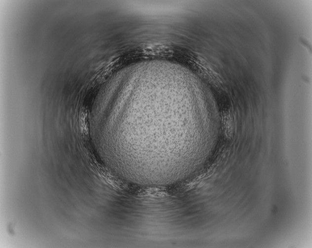 X0000098010770200804111232