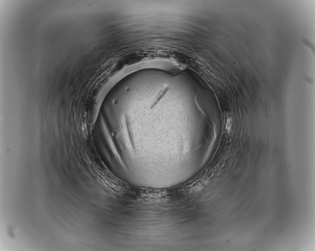 X0000098010771200804111231