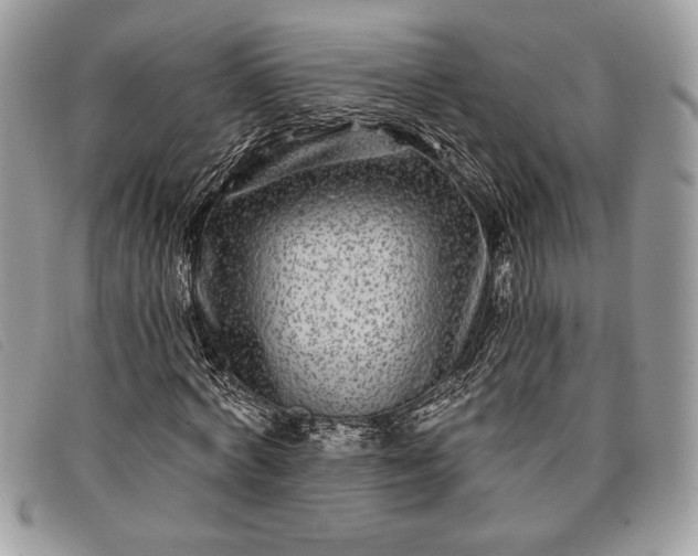 X0000098010772200804111231