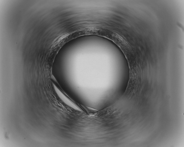 X0000098010773200804111231