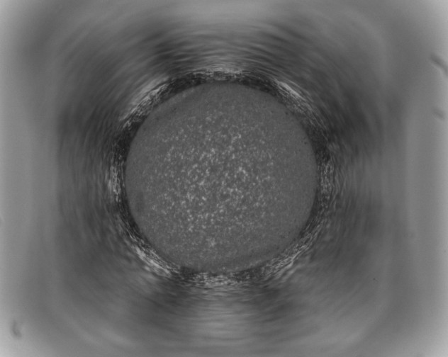 X0000098010774200804111231