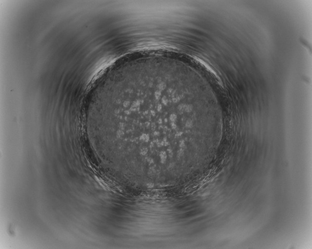 X0000098010775200804111231