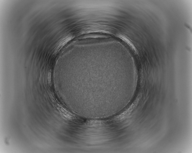 X0000098010777200804111231