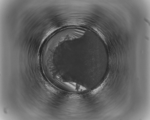 X0000098010779200804111231