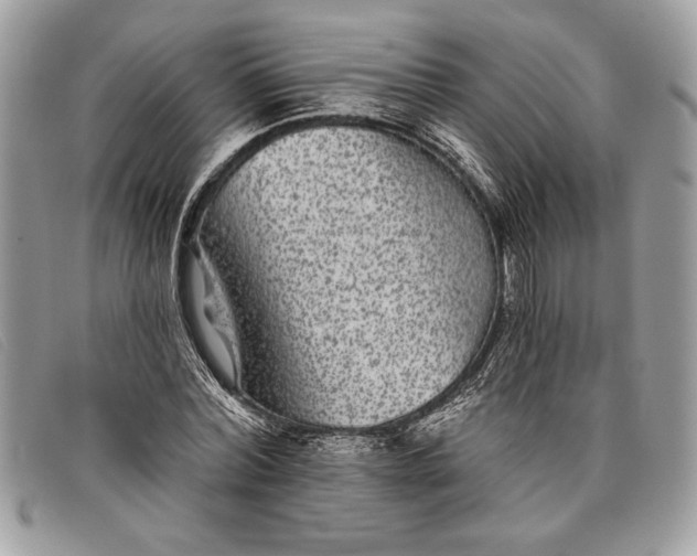 X0000098010780200804111231