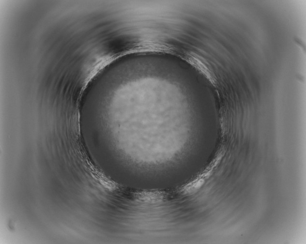 X0000098010781200804111231