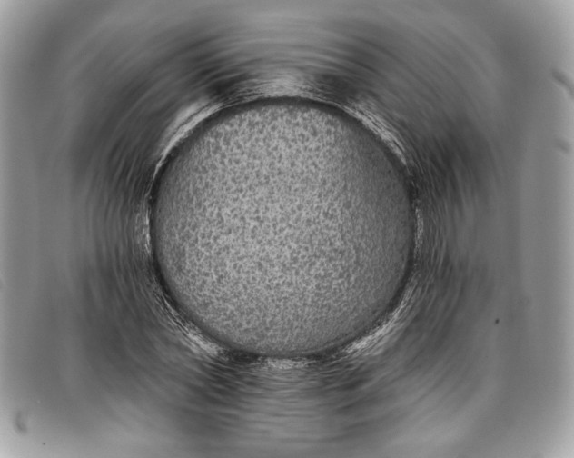 X0000098010782200804111231