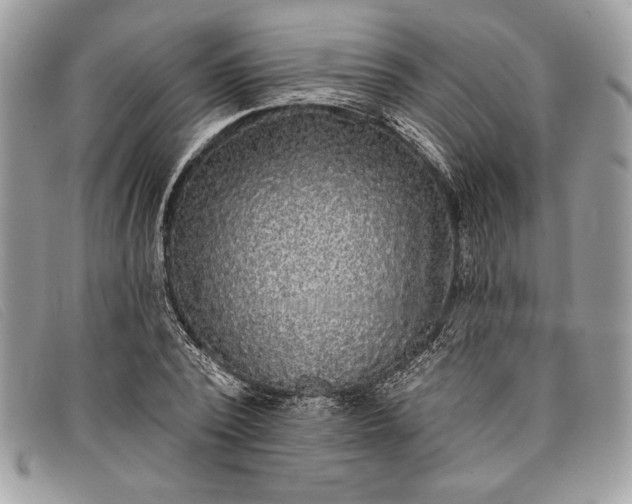 X0000098010784200804111231