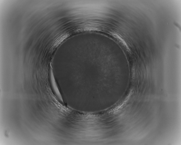 X0000098010785200804111231